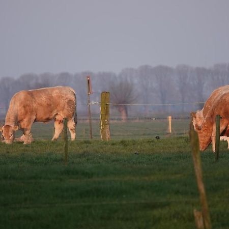 B&B Bij Bronckhorst Steenderen Esterno foto